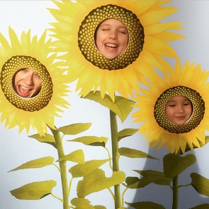 Three sunflowers ~ @sarahwu16, Eve & Abbey Three sunflowers ~ @sarahwu16, Eve & Abbey