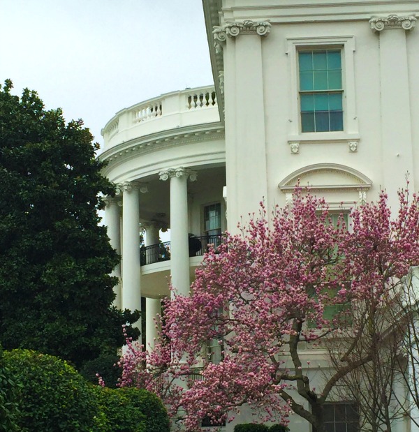 west wing